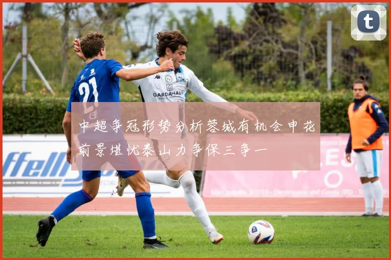中超争冠形势分析蓉城有机会申花前景堪忧泰山力争保三争一