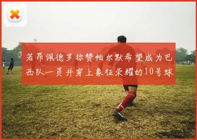 若昂佩德罗称赞帕尔默希望成为巴西队一员并穿上象征荣耀的10号球衣